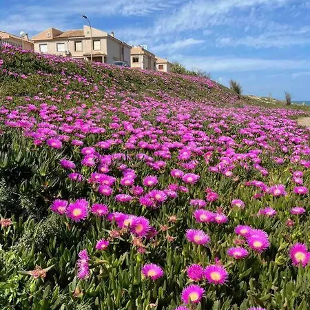 Miramar V Apartamento