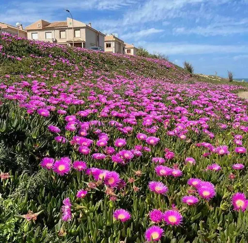 Miramar V Apartamento